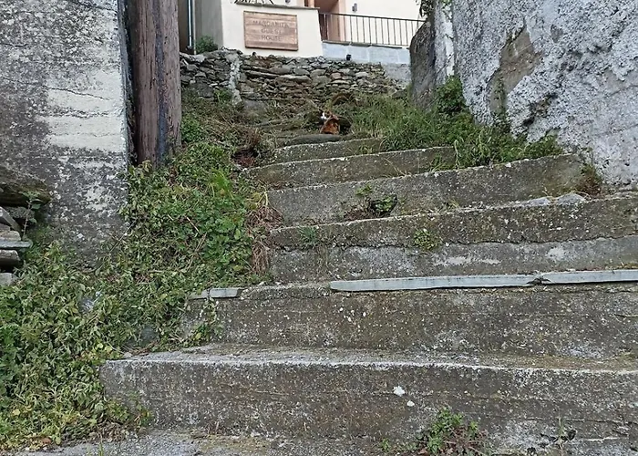 Mghouse Case de vacanță *